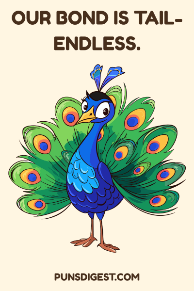 Funny Peacock Puns