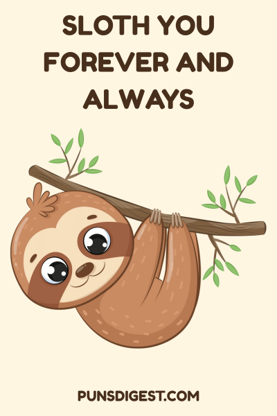 Funny Sloth Puns
