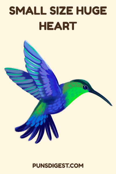 Hummingbird Puns Caption
