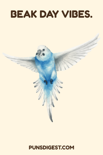 Instagram Parakeet Puns