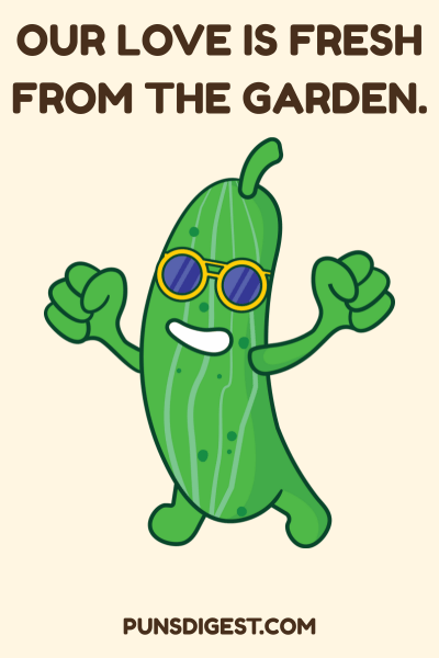 Love Cucumber Puns