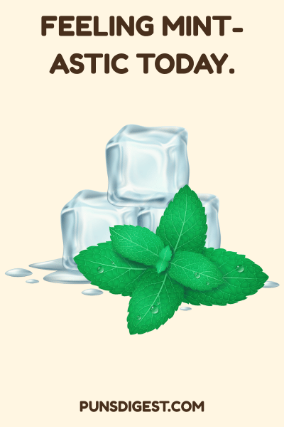 Mint Puns Captions