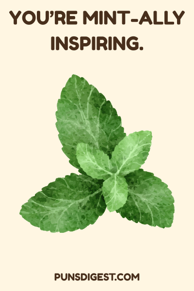 Mint Puns for Gifts