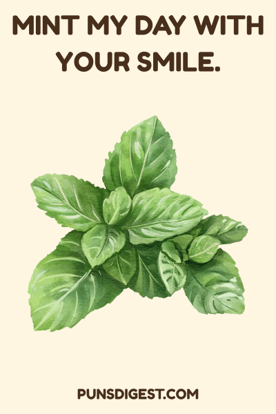 Mint Puns for Students