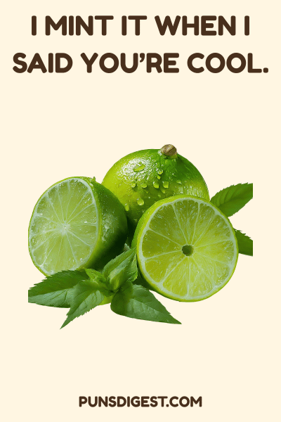 Mint Puns for Teachers