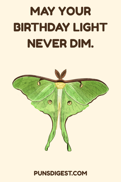 Moth Puns For Birthday
