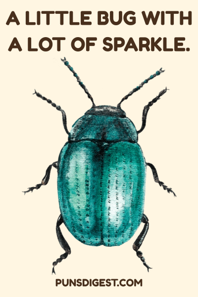 Music Based Beetle Puns