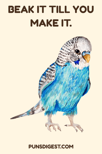 One Liner Budgie Puns