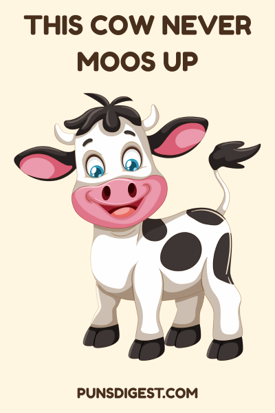 One Liner Cow Puns