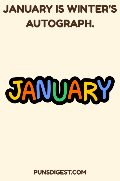 One Liner January Puns