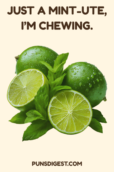 One Liner Mint Puns