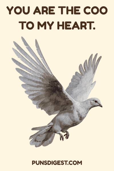 One Liner Pigeon Puns