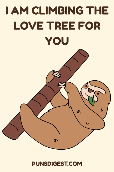 One Liner Sloth Puns