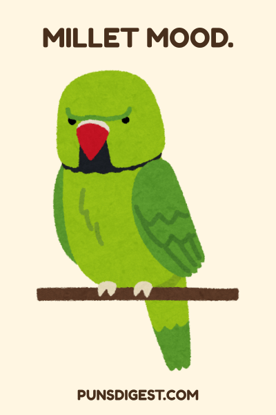 One liner Parakeet Puns