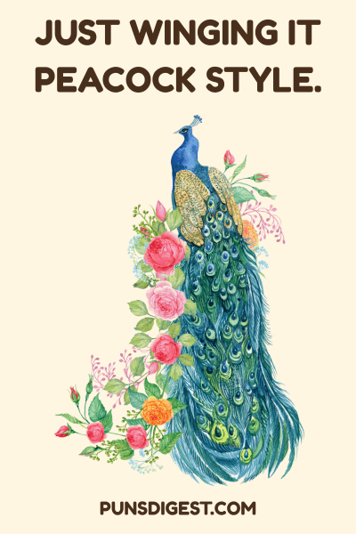 Peacock Puns for Birthday