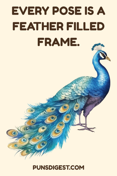 Peacock Puns for Instagram