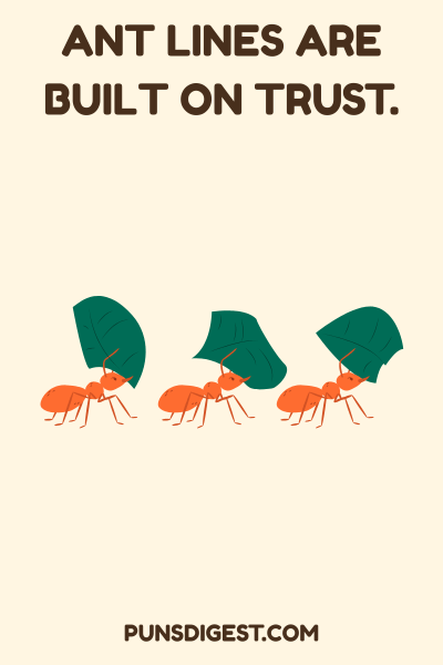 Short Ant Puns