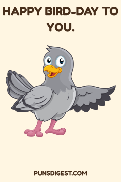 Short Pigeon Puns