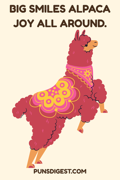 Alpaca Puns for Birthday