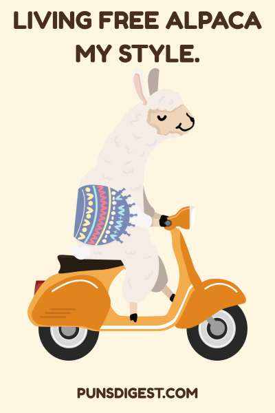 Alpaca Puns for Instagram