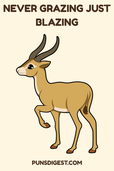 Antelope Puns for Instagram