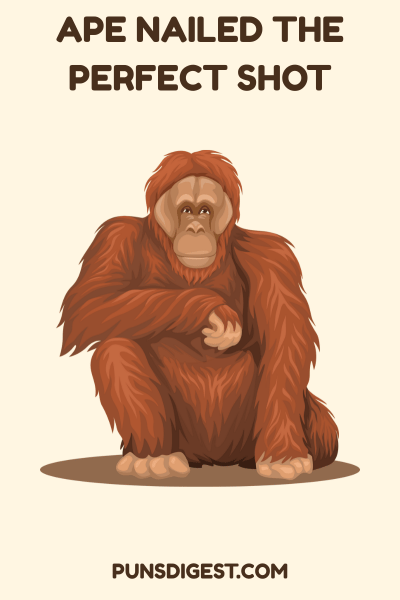 Ape Puns for Captions