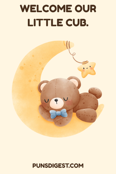 Baby Shower Bear Puns