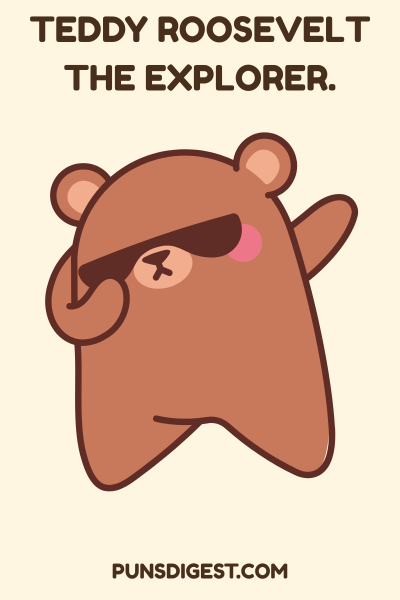Bear Puns for Kids