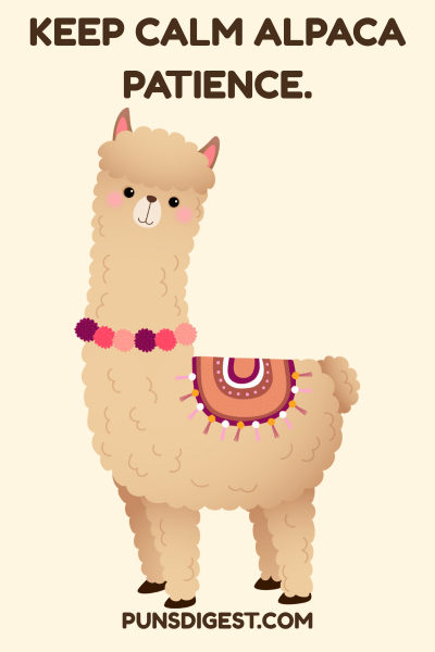 Best Alpaca Puns