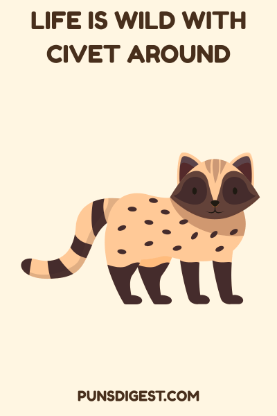 Best Civet Puns