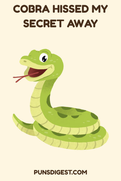 Best Cobra Puns