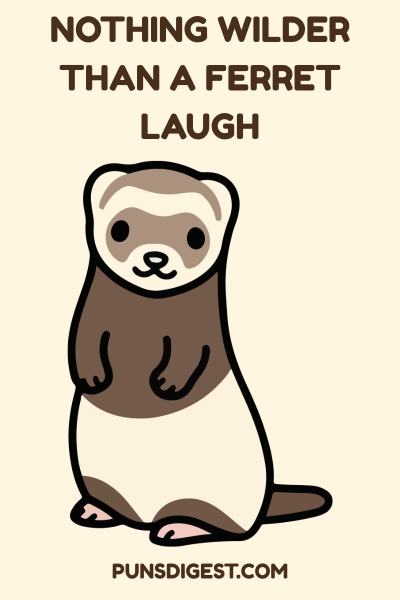 Best Ferret Puns