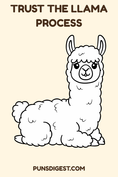 Best Llama Puns