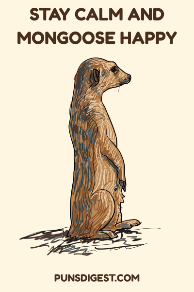 Best Mongoose Puns
