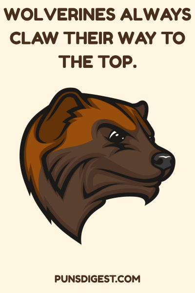 Best Wolverine Puns