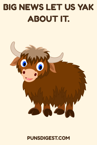 Best Yak Puns
