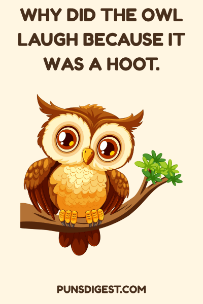 Birds Funny Puns