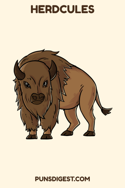 Bison Name Puns