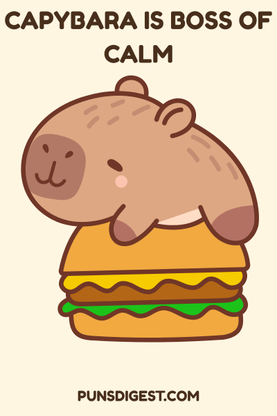 Capybara Puns Captions