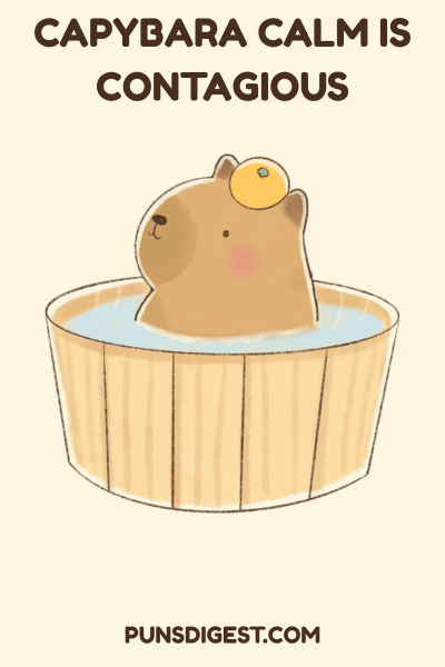 Capybara Puns for Instagram