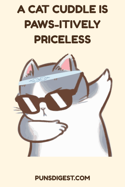 Cat Puns for Birthday