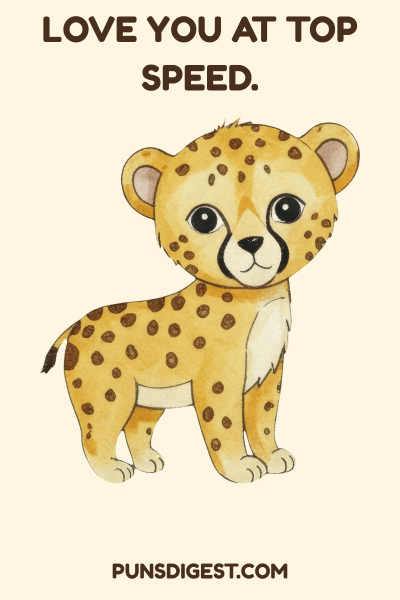 Cheetah Puns for Instagram