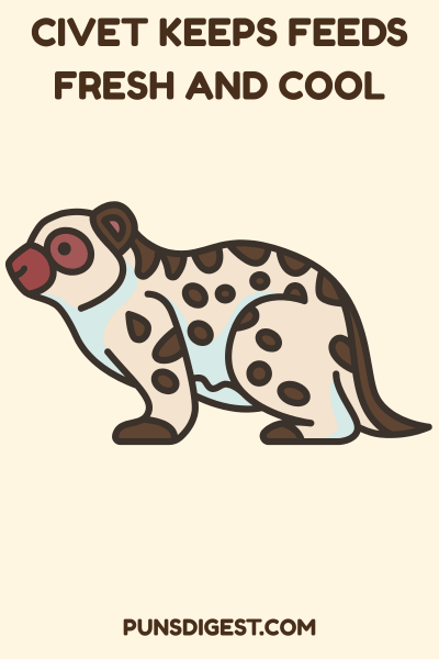 Civet Puns for instagram