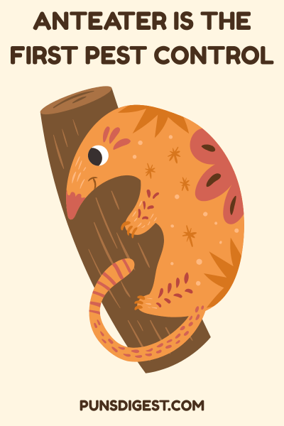 Clever Anteater Puns
