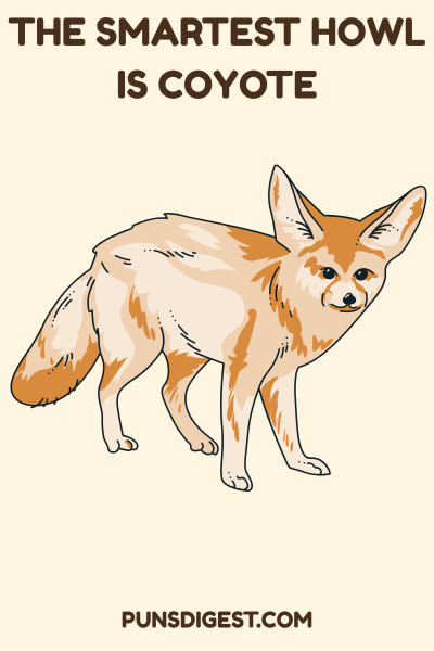 Clever Coyote Puns