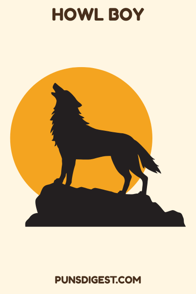Coyote Name Puns