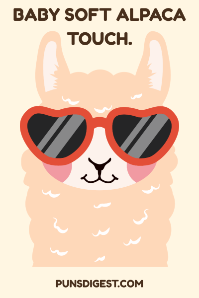 Cute Alpaca Puns