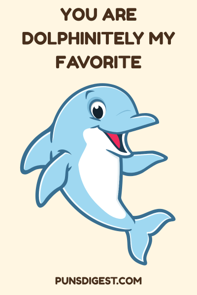Cute Dolphin Puns