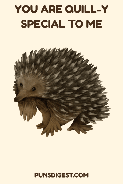 Cute Echidna Puns