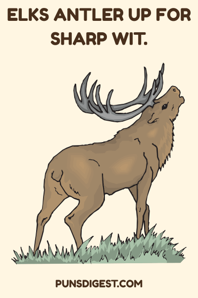 Cute Elk Puns